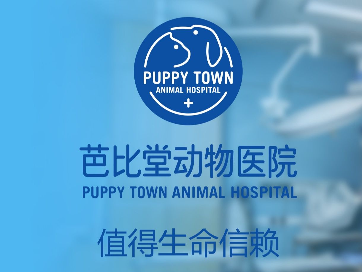 K体育app下载：周汇亚宠展延期至10月2日举办；陈赫入股宠物食品公司